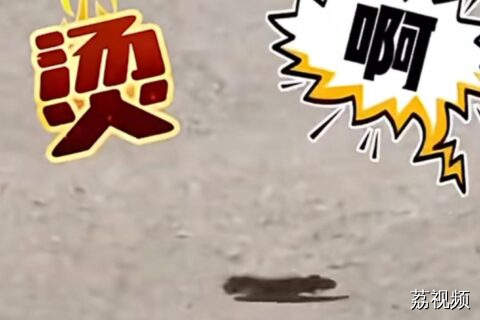 热到烫脚！毛毛虫开启“光速跑路”模式！