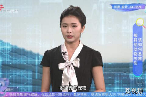 急诊医生教您如何应对动物咬伤