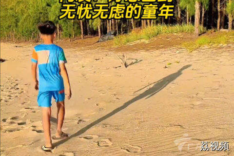 小男孩带鸭子们排队看日落