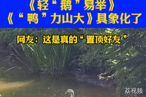 鹅：青春没有售价，骑着好友自驾
