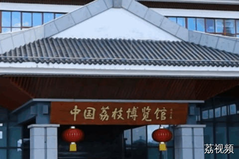 嗨！小喇叭--高州中国荔枝博览馆