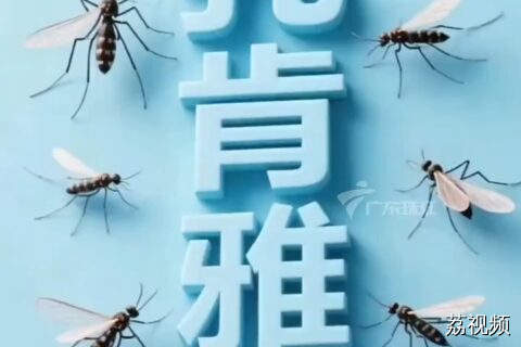 基孔肯雅热患者典型症状为关节疼痛，暂无疫苗和特效药。