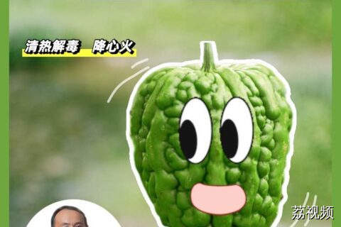 能吃出鸡是冷藏还是新鲜的广东人，面对苦瓜竟然说不苦？还品出甘甜爽脆？#老广的味道 #粤来粤好百千万 #岭南美食