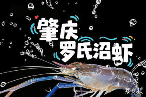 100种岭南土特产——肇庆罗氏沼虾