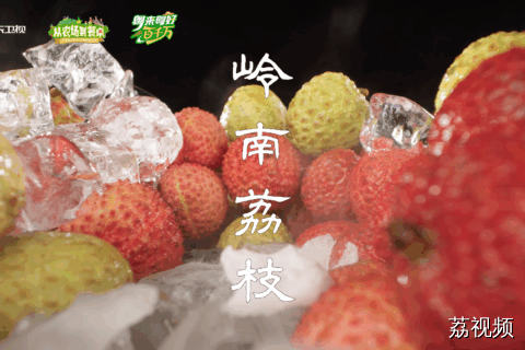 100种岭南土特产——岭南荔枝