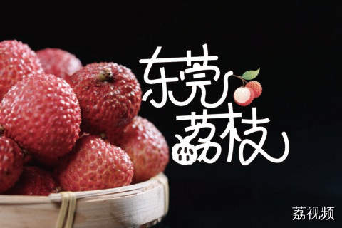 100种岭南土特产——东莞荔枝
