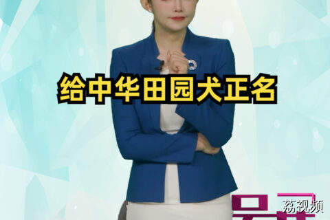 给中华田园犬正名 #吴荻说