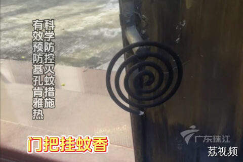 广东人灭蚊大招频出，基孔肯雅热快退散