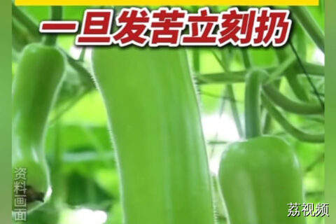 紧急提醒！这种夏日常吃的瓜。一旦发苦立刻扔掉！