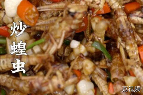 热知识：我们吃的蝗虫跟害虫蝗虫还是有区别的。#老广的味道 #粤来粤好百千万 #岭南美食