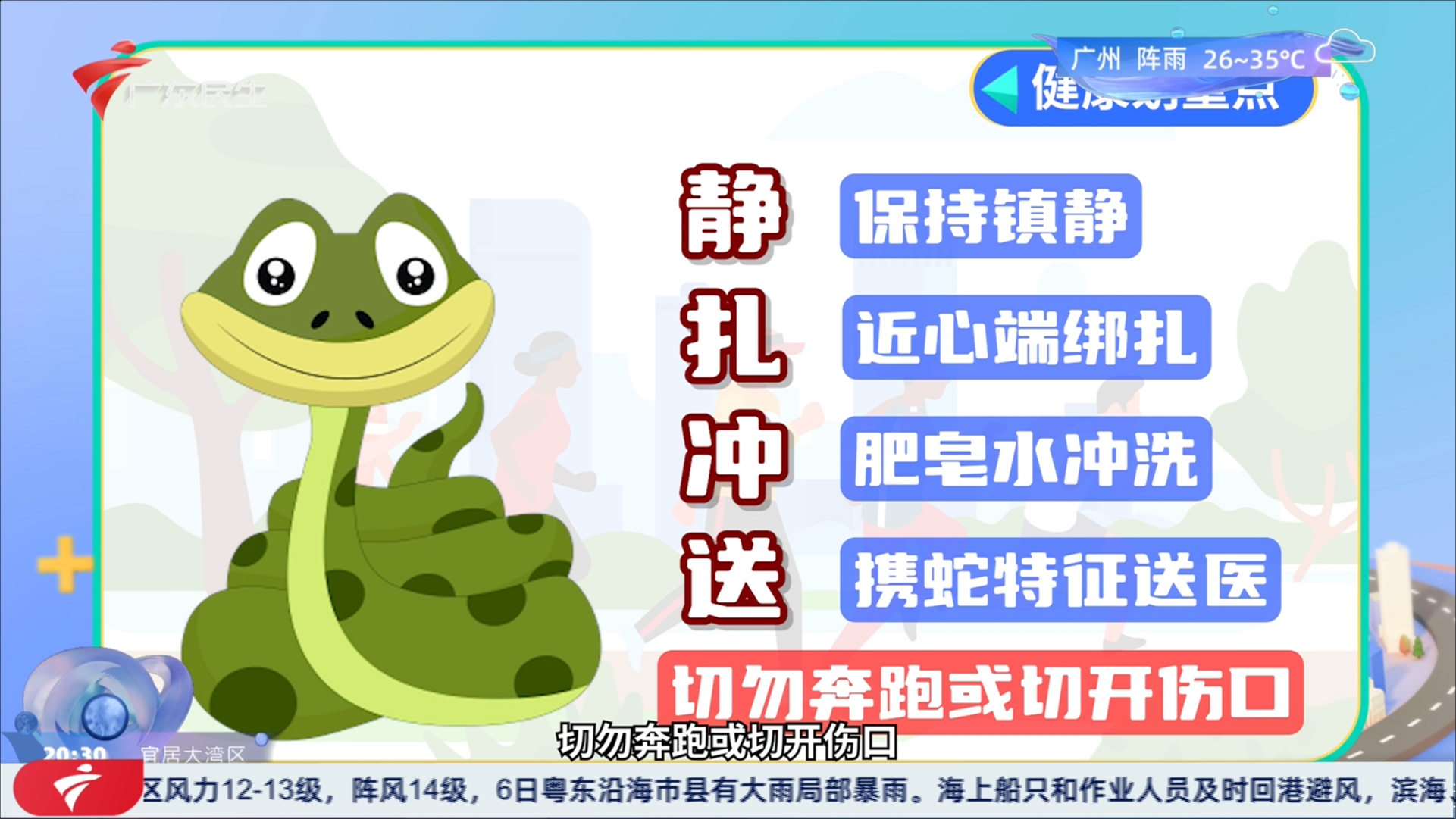 夏季蛇咬伤高发 被毒蛇咬了有什么症状 | 荔视频