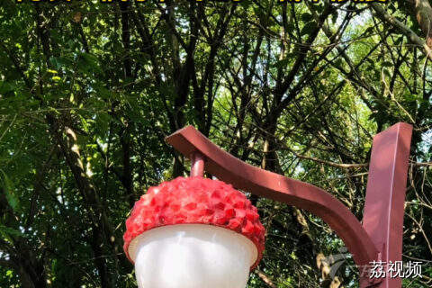 广东的路灯真的好可爱