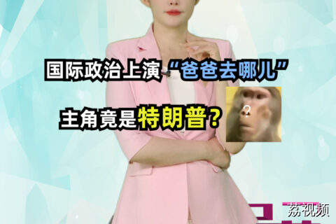 国际政治上演“爸爸去哪儿”，主角竟是特朗普？#吴荻说