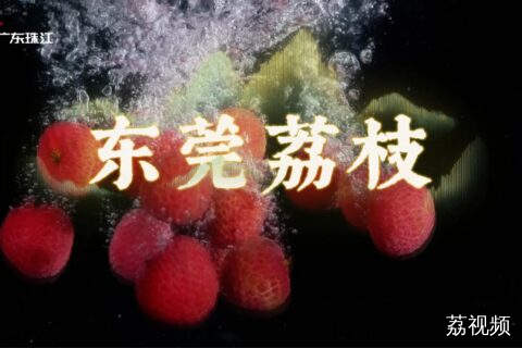 东莞荔枝超给“荔”！甜蜜密码大公开