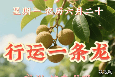 今天是七月十四日礼拜一