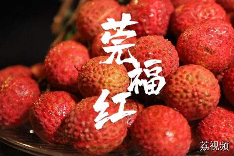 爽甜化渣！金奖荔枝莞福红惊艳登场