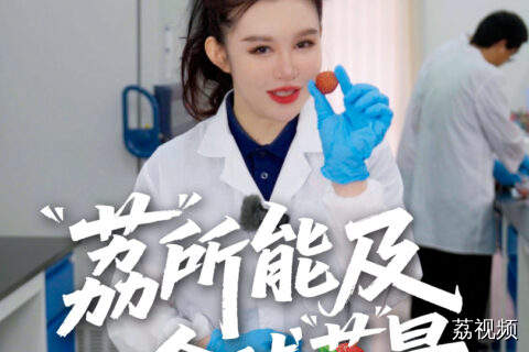 “荔”所能及 全球“荔”量