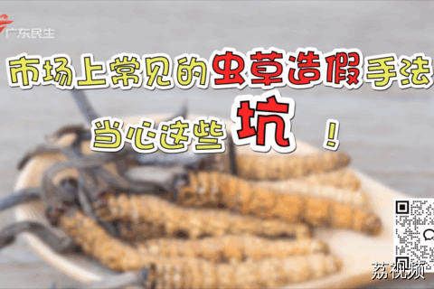 市场上常见的虫草造假手法，当心这些坑！