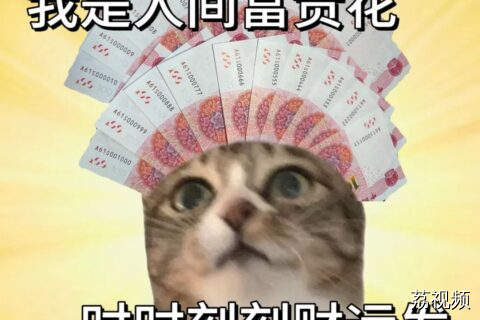 金九银十想拿高薪Offer？这些企业正在加码招人！