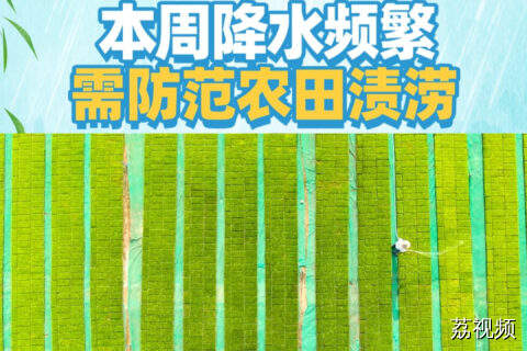 本周降水频繁，农业管理应如何做？