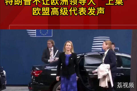 特朗普不让欧洲领导人“上桌” 欧盟高级代表发声