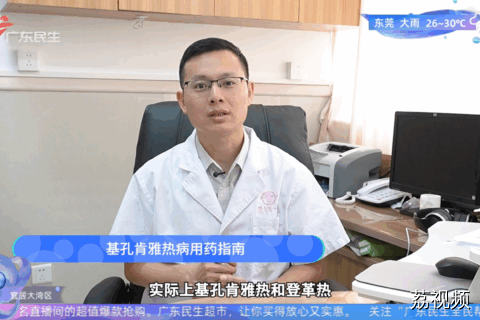 基孔肯雅热病用药指南