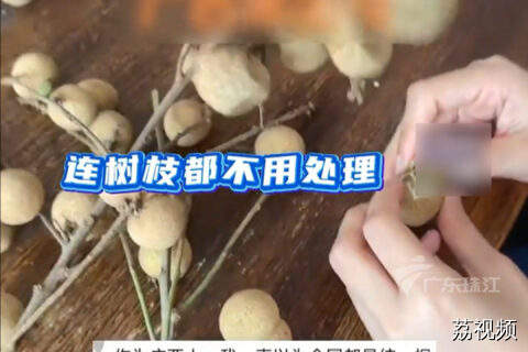 广西人教同事剥龙眼，网友：这就是教科书式示范。