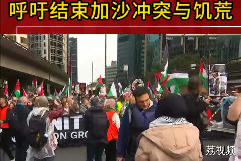 澳大利亚近10万人大游行 呼吁结束加沙冲突与饥荒