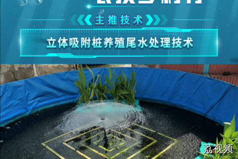 立体吸附桩养殖尾水处理技术助力广东渔业书写绿色新篇章！