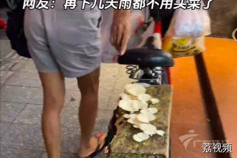广东的“潮”具象化了