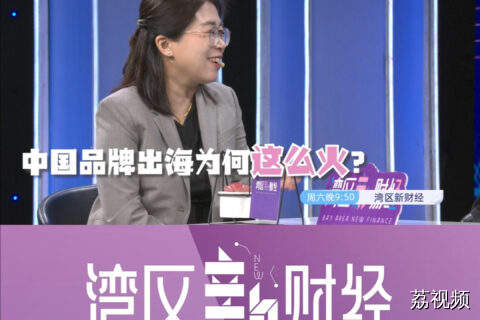 出海新地图——从“巨头远征”到“蚂蚁雄兵”  宣传片
