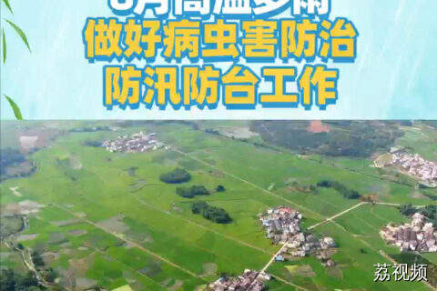 8月高温多雨，做好病虫害防治和防汛防台工作