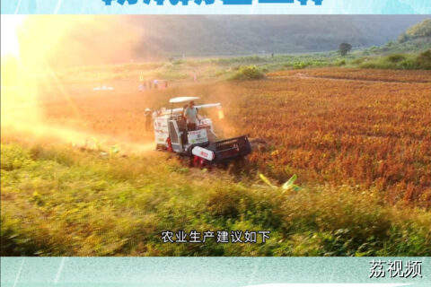 8月高温多雨，做好病虫害防治和防汛防台工作