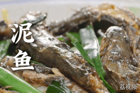 这种在滩涂上“蹦迪”的鱼，才是老饕的私藏美味！#老广的味道 #纪录片 #家常菜