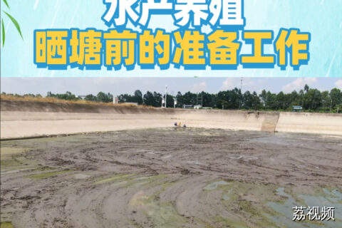 水产养殖晒塘前的准备工作