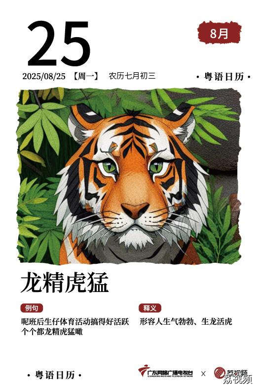 【粤语日历】2025年8月25日：龙精虎猛