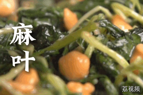 曾是饥荒年代“救命粮”的麻叶，如今随着生活富足，以独特的风味和清爽口感，跃升为潮汕美食的代表之一~