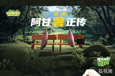 汕尾阿甘薯正传