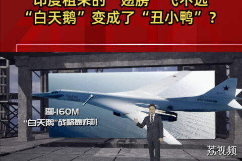 印度租来的“翅膀”飞不远 “白天鹅”变成了“丑小鸭”？