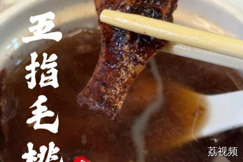 广东妈妈秘方！这碗“椰香五指毛桃汤”，喝完鲜掉眉毛！