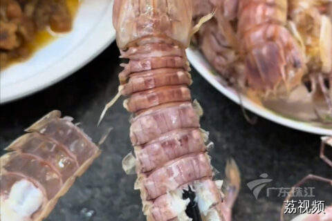 用一根筷子就能快速剥皮皮虾！广东街坊们学会了吗？