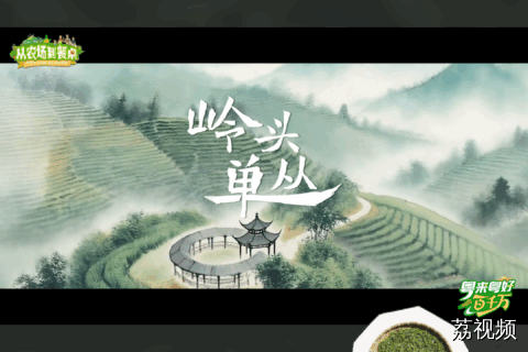 【手绘+实景，这杯秋天的春茶有诚意】