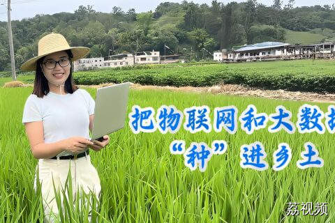 《把物联网和大数据“种”进乡土》
