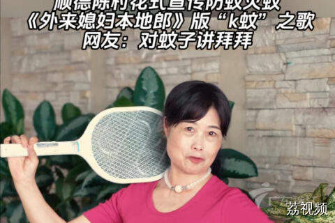 超洗脑！顺德陈村《外来媳妇本地郎》版灭蚊之歌