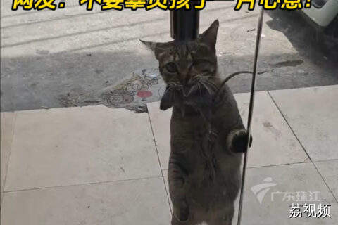 猫咪“打猎”凯旋，叼活老鼠把主人吓懵