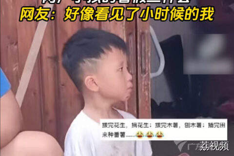拔花生、掰玉米、割稻谷，两广小孩专属的暑假三件套。