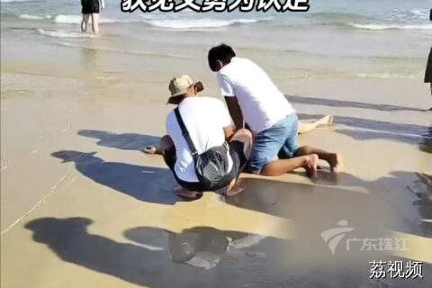 广东游客吴秋钟为救溺水一家三口英勇献身，获见义勇为认定