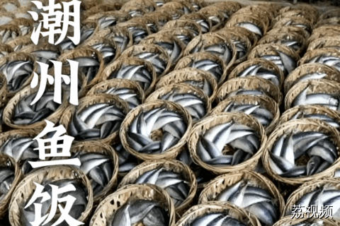 老婆饼里没有老婆我忍了，怎么鱼饭里没有饭啊？#老广的味道 #广东美食