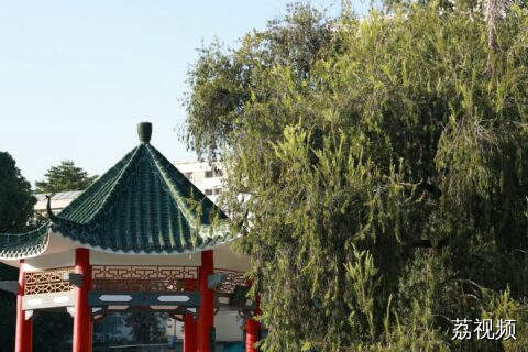 三等奖：《押花之美，生活之美》