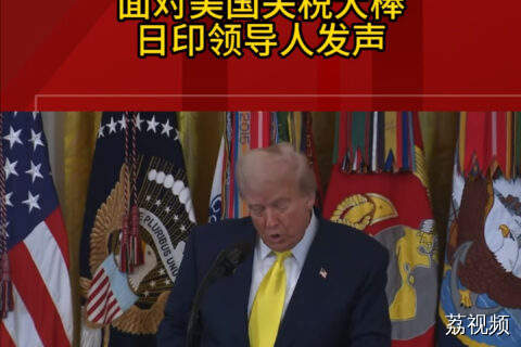 面对美国关税大棒 日印领导人发声